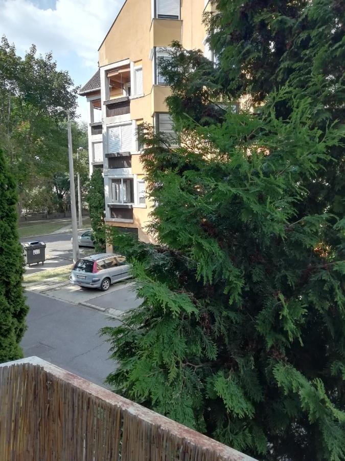 Rokus Apartman Apartment Szeged Bagian luar foto